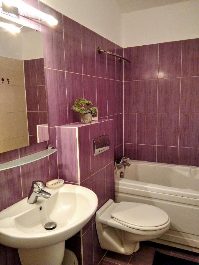 Lovely Central Apartment Braşov Extérieur photo